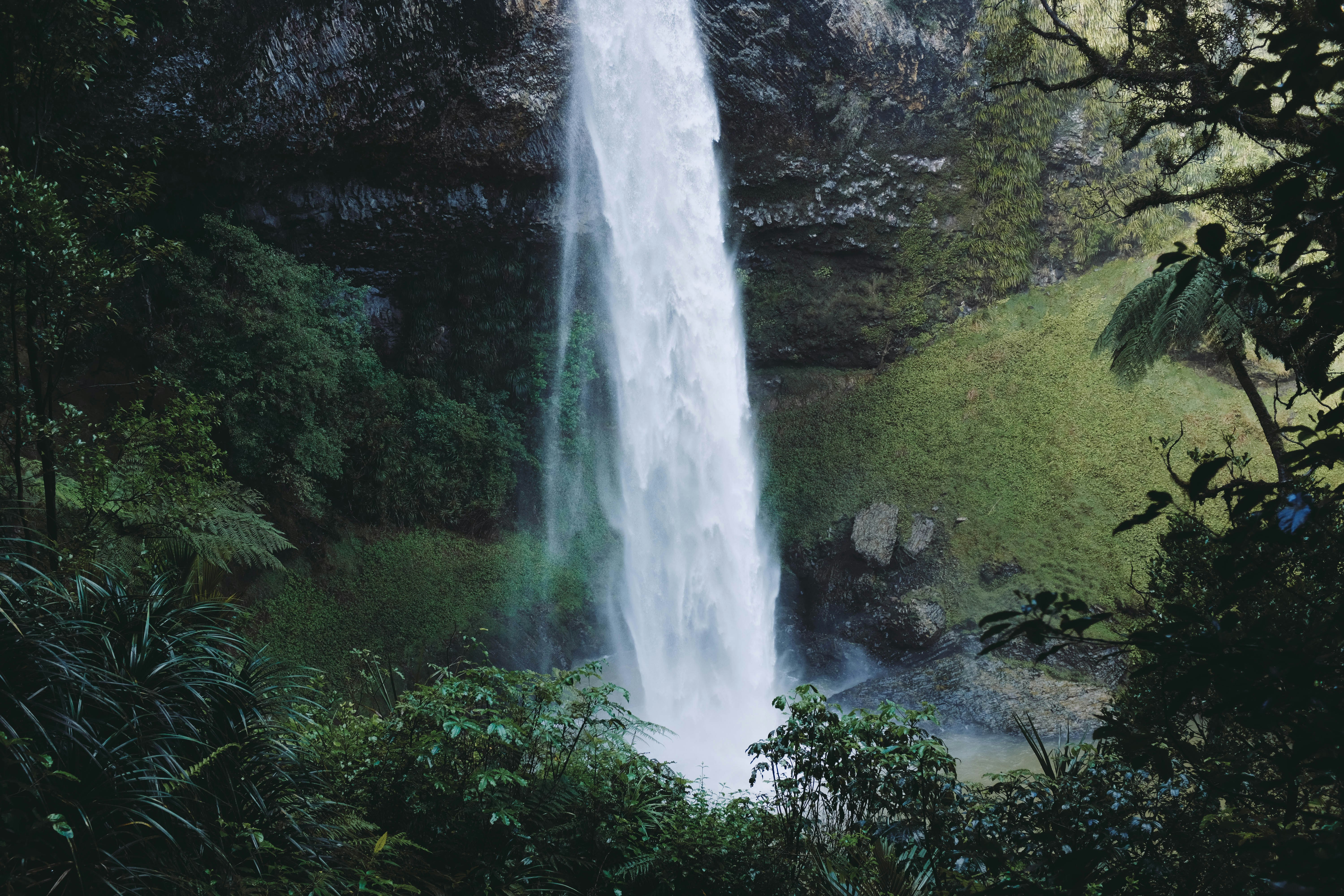 waterfalls surrounded of trees